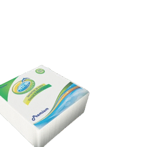 SERVIETTE NICE